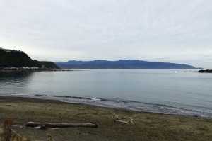 OWHIRO-BAY (7)